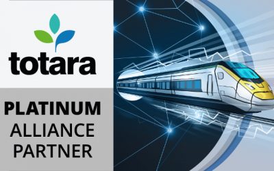 Totara Platinum Alliance Partner award